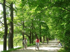 The Nature and TLH TEFL